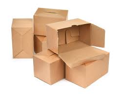 tim-hieu-ve-hop-carton-be-lo