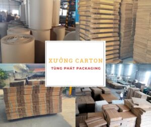 Thùng carton được sản xuất tại nhà xưởng hiện đại của Tùng Phát