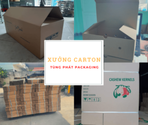 Tùng Phát Packaging chuyên nhận làm thùng carton các loại với giá hợp lý
